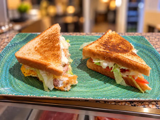 Sándwich tostado con lechuga, tomate y mayonesa